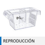 Paridera para alevines