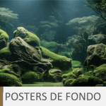 Posters de fondo para acuario