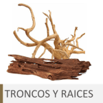 Troncos y raíces para acuario