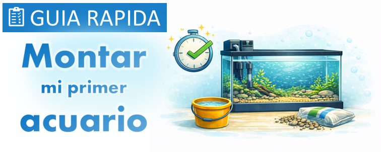Guía rápida de montaje de primer acuario paso a paso