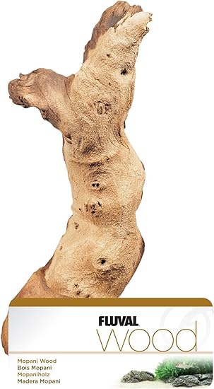 Tronco Raíz de Madera de Mopani Grande (Marca Marina)