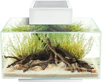 Kit_Acuario Fluval Edge Nano Acuario Blanco, 23 L