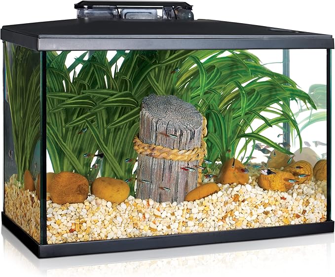 Kit_Acuario Marina - Kit de Acuario con Iluminación LED, Vidrio, Transparente, 20 L