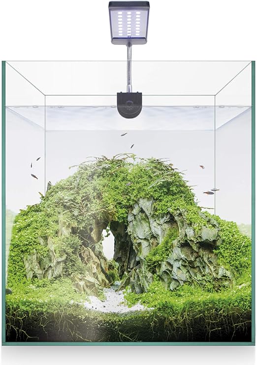 Kit_Acuario ICA Kit Nano Aquascape 20L
