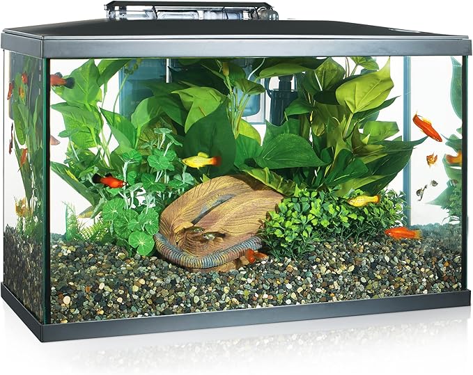 Kit_Acuario Marina - Kit de Acuario con Iluminación LED, Vidrio, Transparente, 38 L