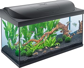 Kit_Acuario Tetra Starter Line LED 105L Acuario con LED con modo luz diurna/nocturna
