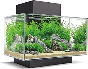 Kit_Acuario Fluval Edge Nano Acuario, Negro, 23 L