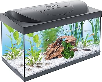 Kit_Acuario Tetra Starter Line LED 54L Acuario con LED con modo luz diurna/nocturna