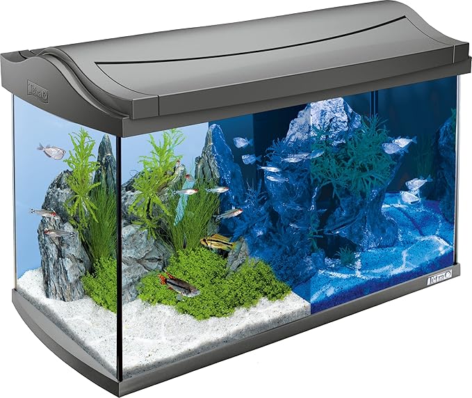 Kit_Acuario Tetra AquaArt Discovery Line Acuario completo con iluminación LED, 60 litros