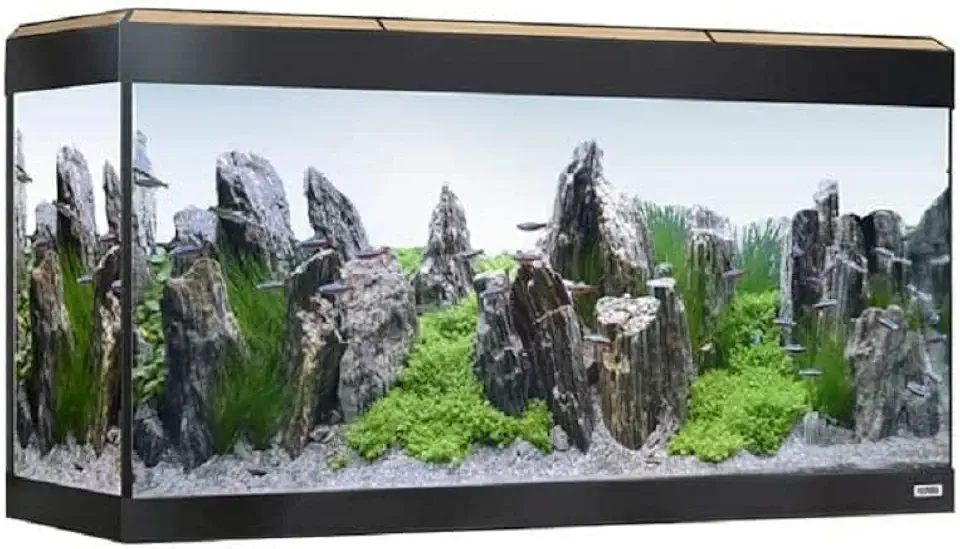 Kit_Acuario Fluval Acuario Roma completo, Negro, 200L