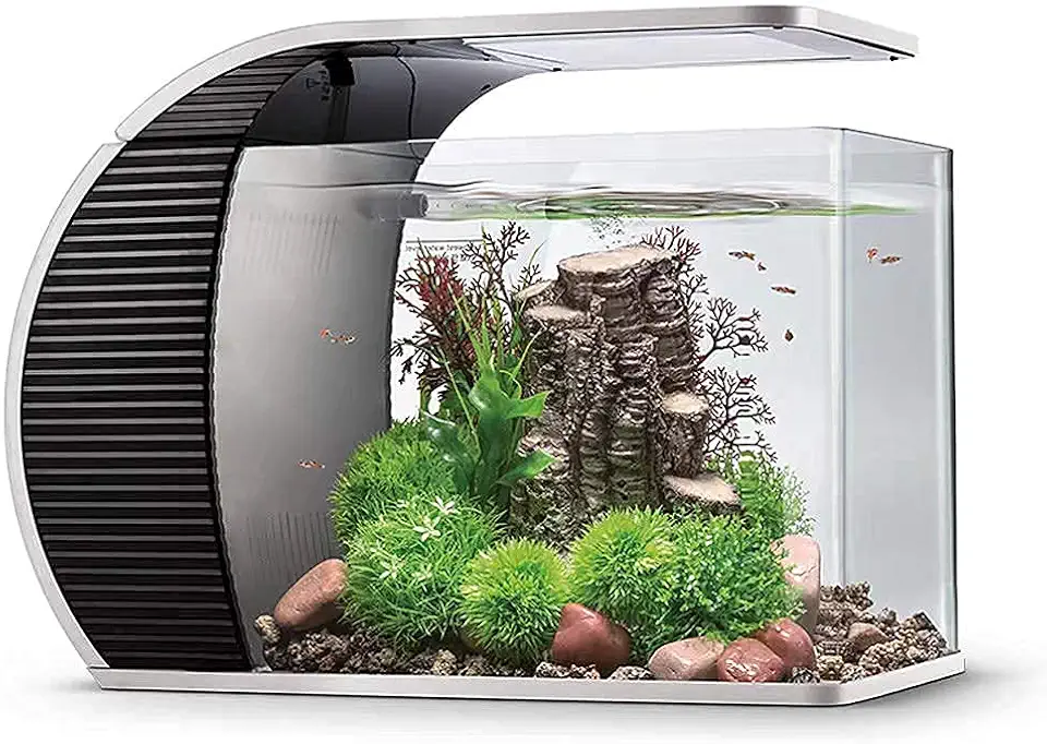 Kit_Acuario hygger Acuario panorámico curvado con filtro , iluminación LED de 19 litros