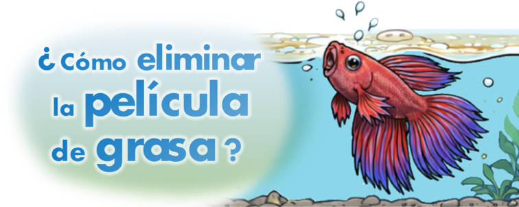 Acuario con biofilm en la superficie del agua