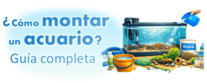 Guia paso a paso de como montar un acuario