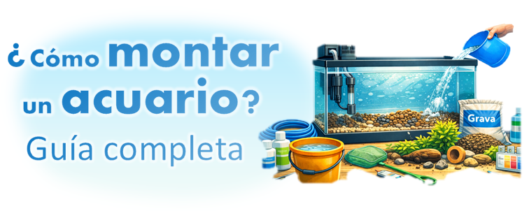 Guia paso a paso de como montar un acuario