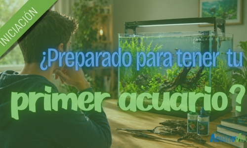 miniatura del curso