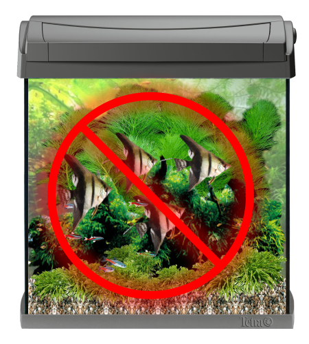 Acuario sobrepoblado